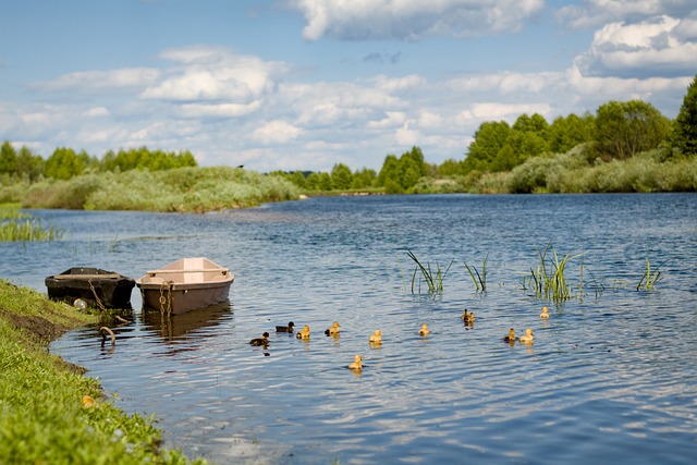 https://www.gudrun-kropp.de/images/kunde/14.08.2025-duck-4118032_640.jpg