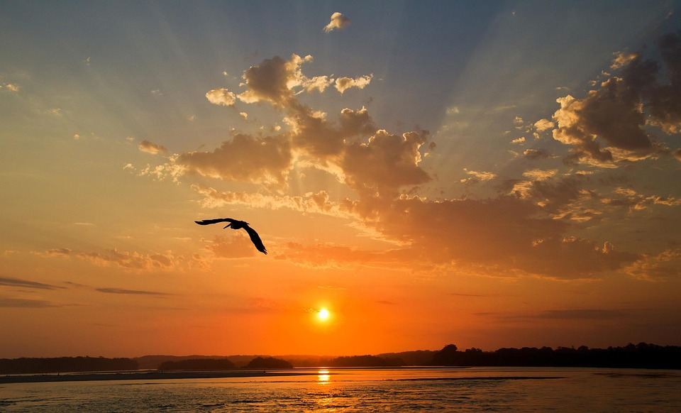 https://www.gudrun-kropp.de/images/kunde/19.102025-sunset-5389160_960_720.jpg